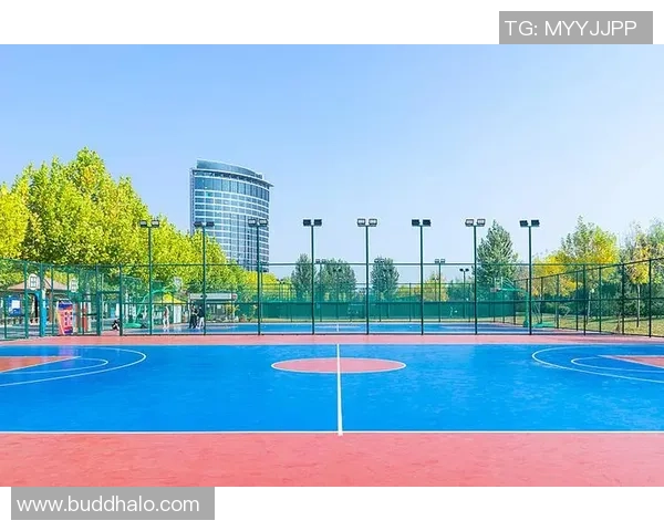 佛山金沙洲篮球场周边休闲娱乐设施全面探访与篮球文化交流活动推荐