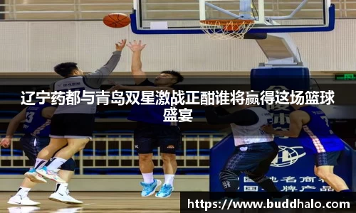 辽宁药都与青岛双星激战正酣谁将赢得这场篮球盛宴